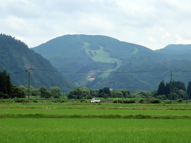 代表挨拶